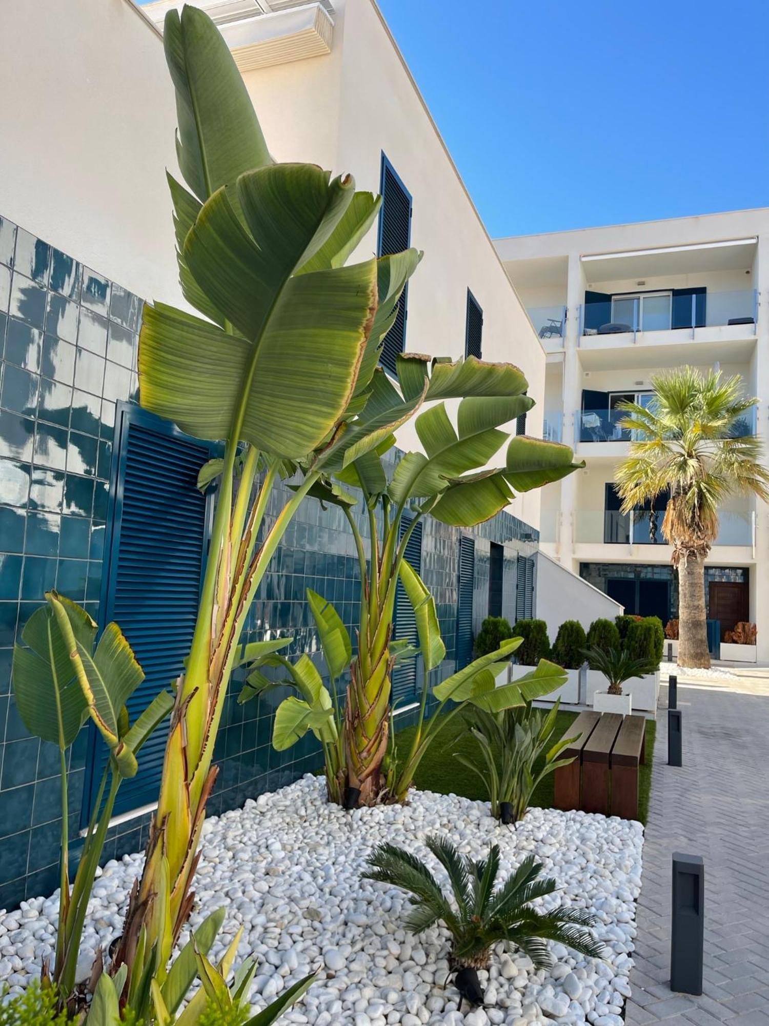 Apartament Hola Blanca - Sea, Golf, Chill Dehesa de Campoamor  Zewnętrze zdjęcie