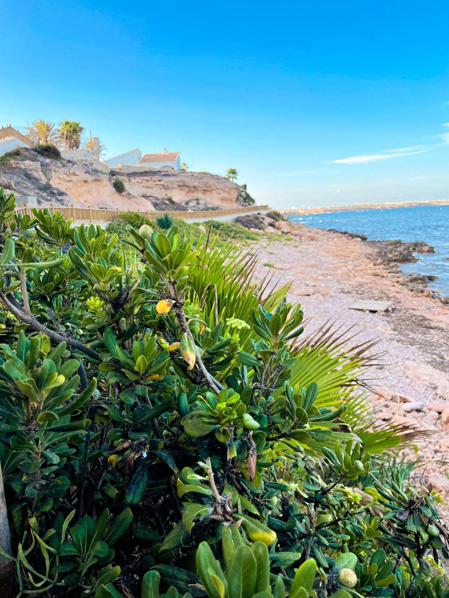 Apartament Hola Blanca - Sea, Golf, Chill Dehesa de Campoamor  Zewnętrze zdjęcie