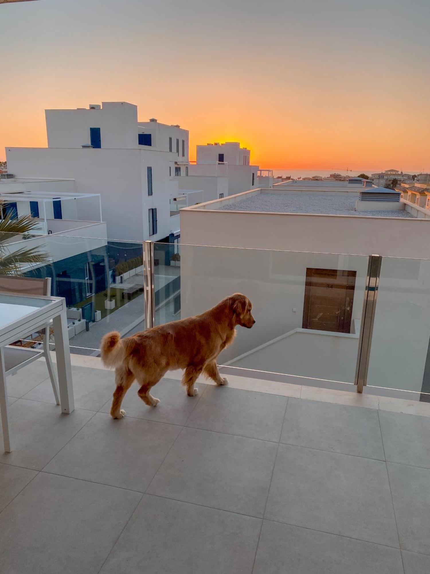 Apartament Hola Blanca - Sea, Golf, Chill Dehesa de Campoamor  Zewnętrze zdjęcie